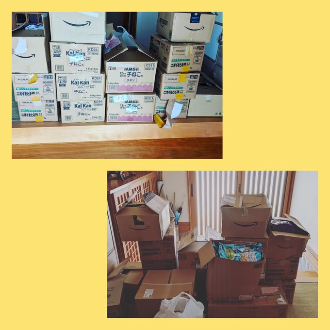 f:id:nekoja-peterpan:20210904103655j:plain