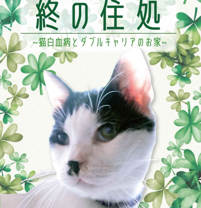 f:id:nekoja-peterpan:20210904104126j:plain