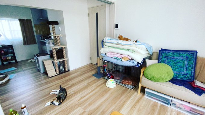 f:id:nekoja-peterpan:20210907141653j:plain