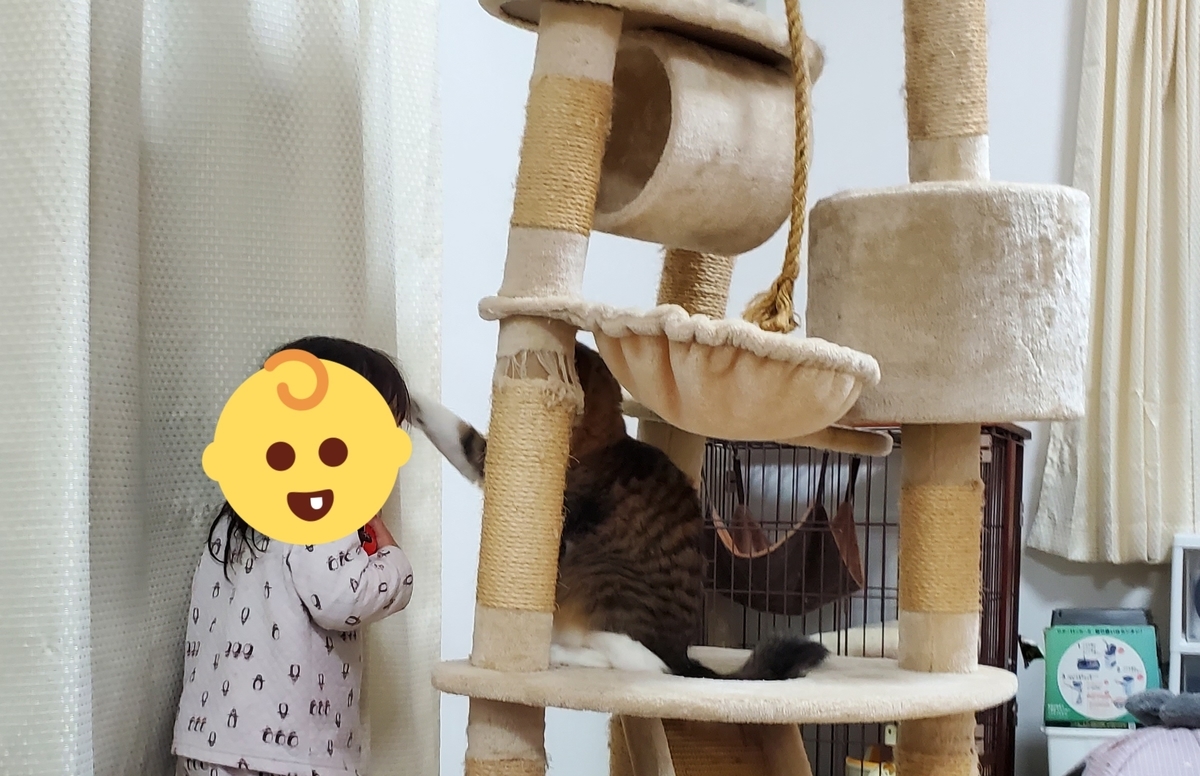 f:id:nekoja-peterpan:20210914125129j:plain