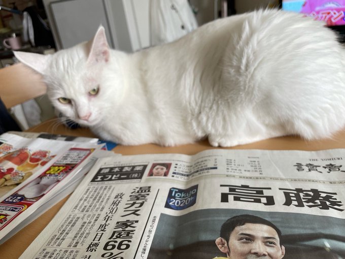 f:id:nekoja-peterpan:20210917140404j:plain