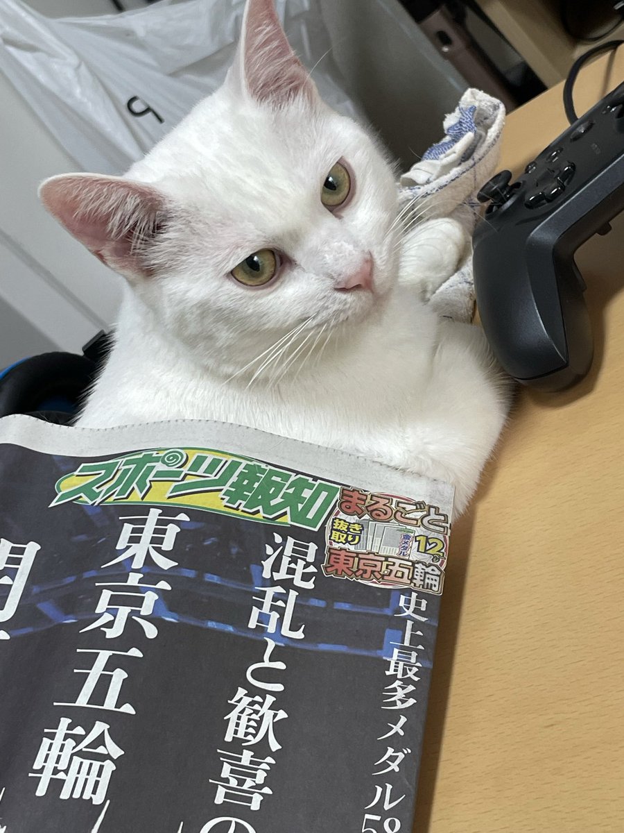 f:id:nekoja-peterpan:20210917140430j:plain