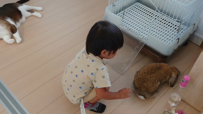 f:id:nekoja-peterpan:20210927140007j:plain