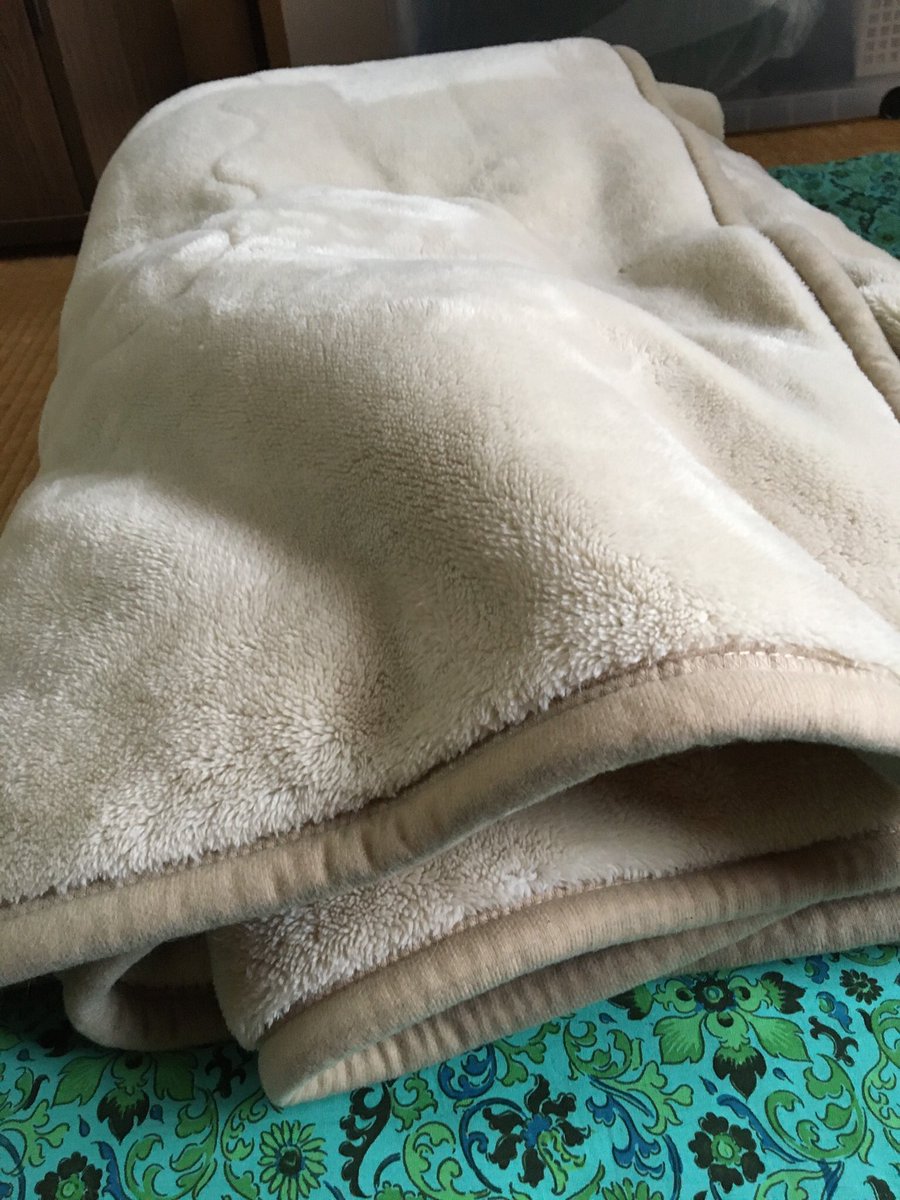 f:id:nekoja-peterpan:20211022121524j:plain