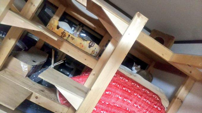 f:id:nekoja-peterpan:20211110114917j:plain