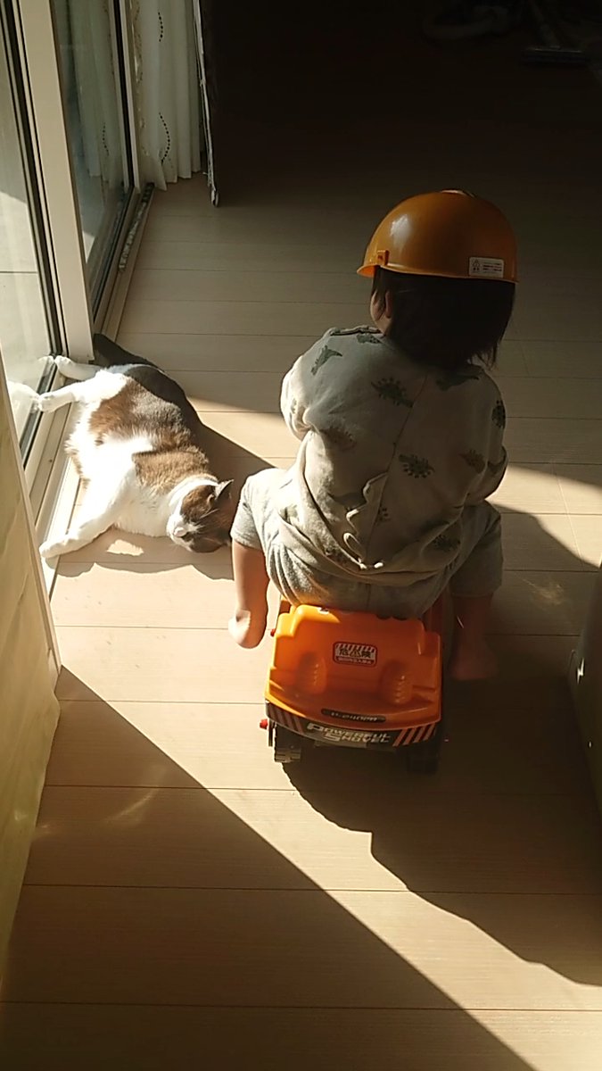 f:id:nekoja-peterpan:20211231125639j:plain