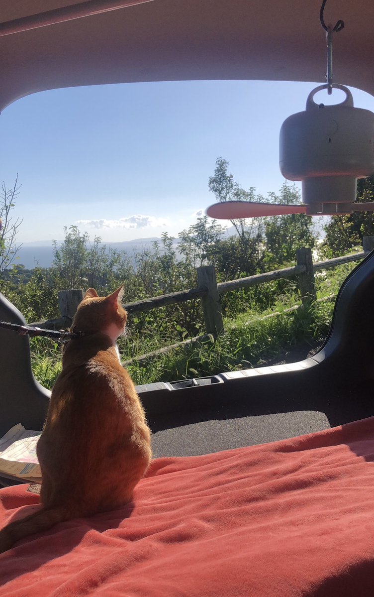 f:id:nekoja-peterpan:20220123115812j:plain