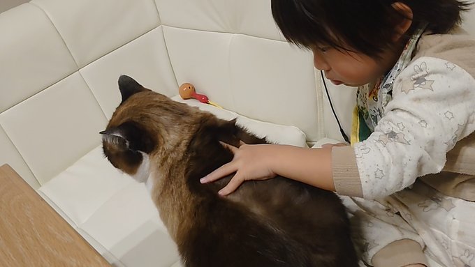 f:id:nekoja-peterpan:20220201143205j:plain