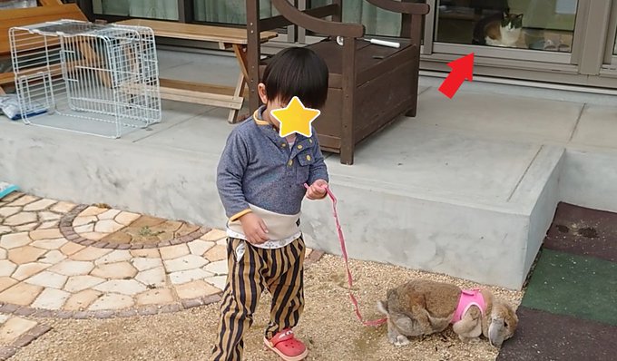 f:id:nekoja-peterpan:20220201143233j:plain