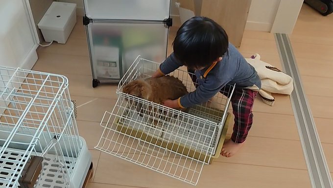 f:id:nekoja-peterpan:20220201143345j:plain