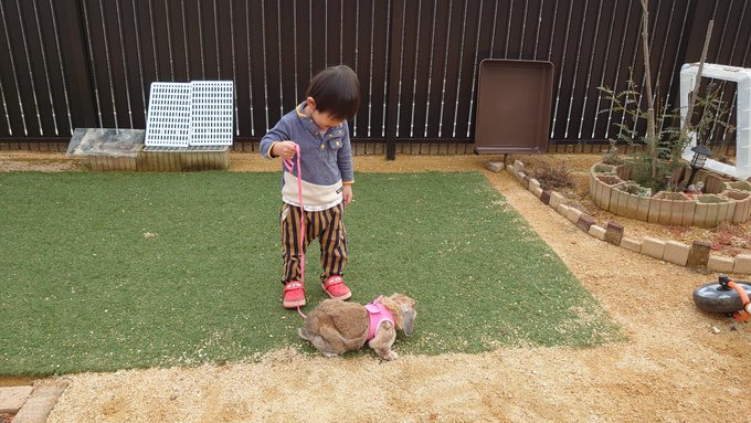 f:id:nekoja-peterpan:20220201143414j:plain