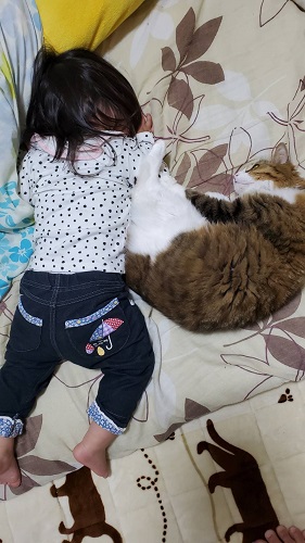 f:id:nekoja-peterpan:20220221085354j:plain