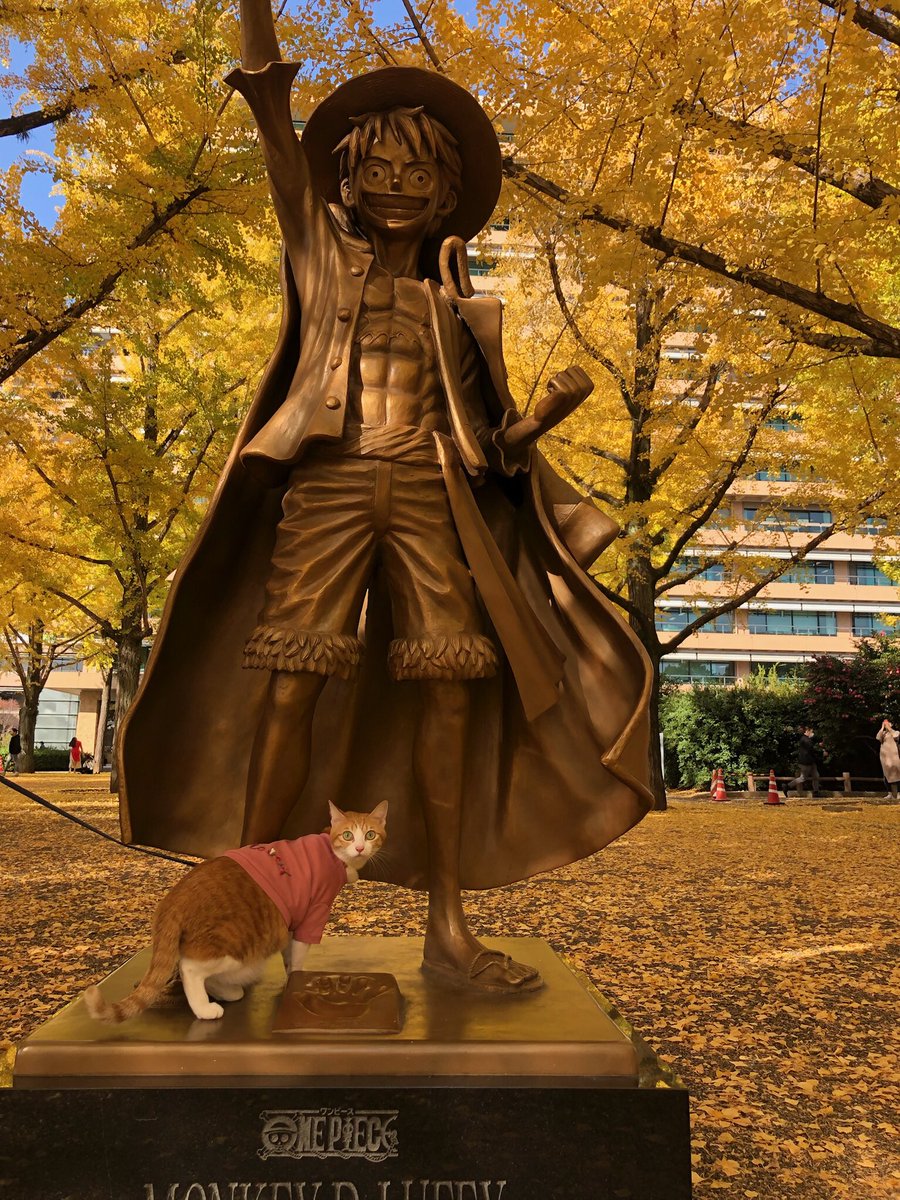 f:id:nekoja-peterpan:20220225141918j:plain