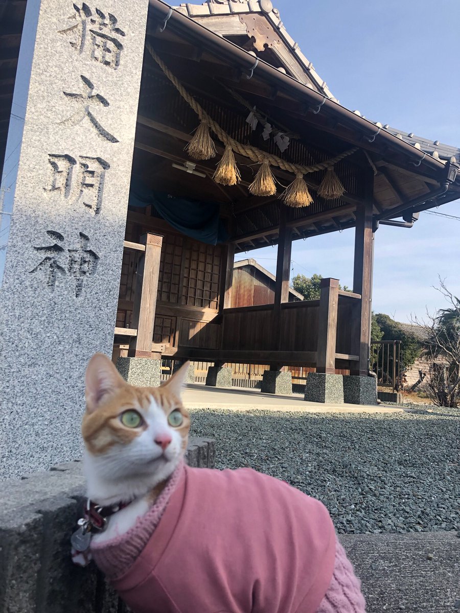 f:id:nekoja-peterpan:20220411115731j:plain