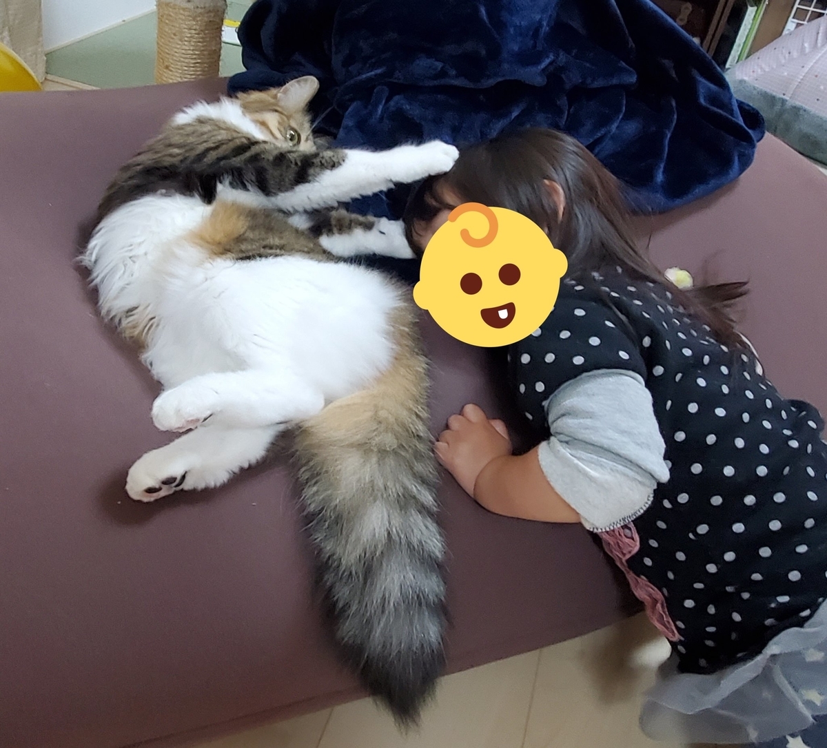 f:id:nekoja-peterpan:20220417114555j:plain