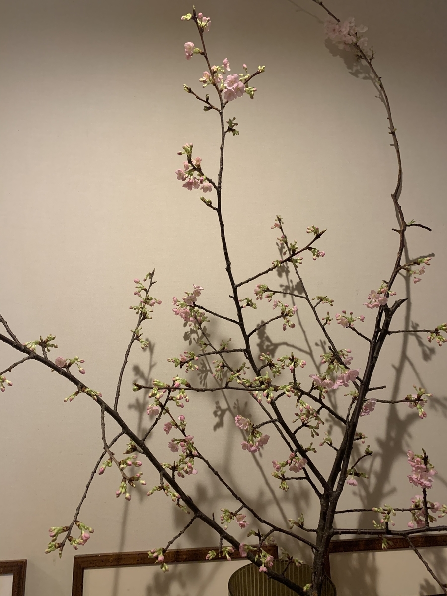 f:id:nekojiro612:20220127095147j:plain