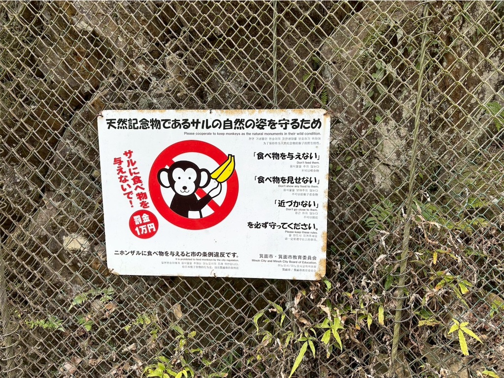 f:id:nekokawaiitamaran:20260509215933j:image f:id:nekokawaiitamaran:20260509215933j:image