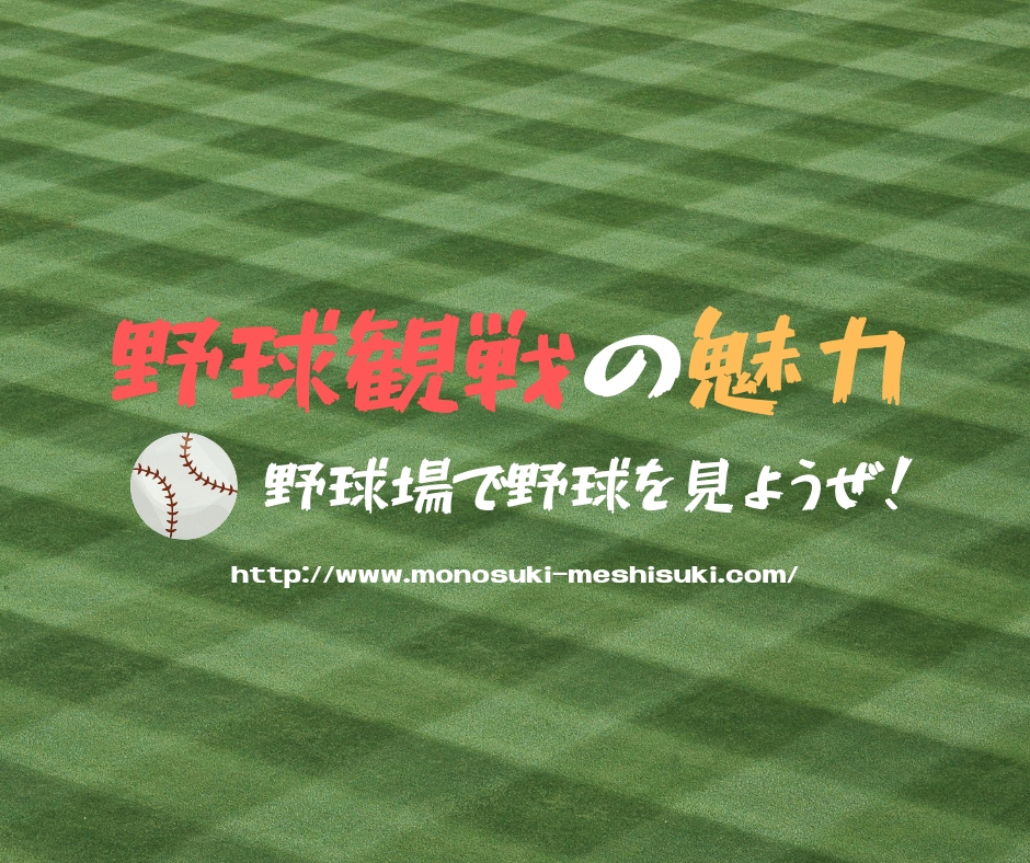 野球観戦の魅力を徹底解説 ひとり観戦でも全然大丈夫だよ モノ好き 飯好きlife