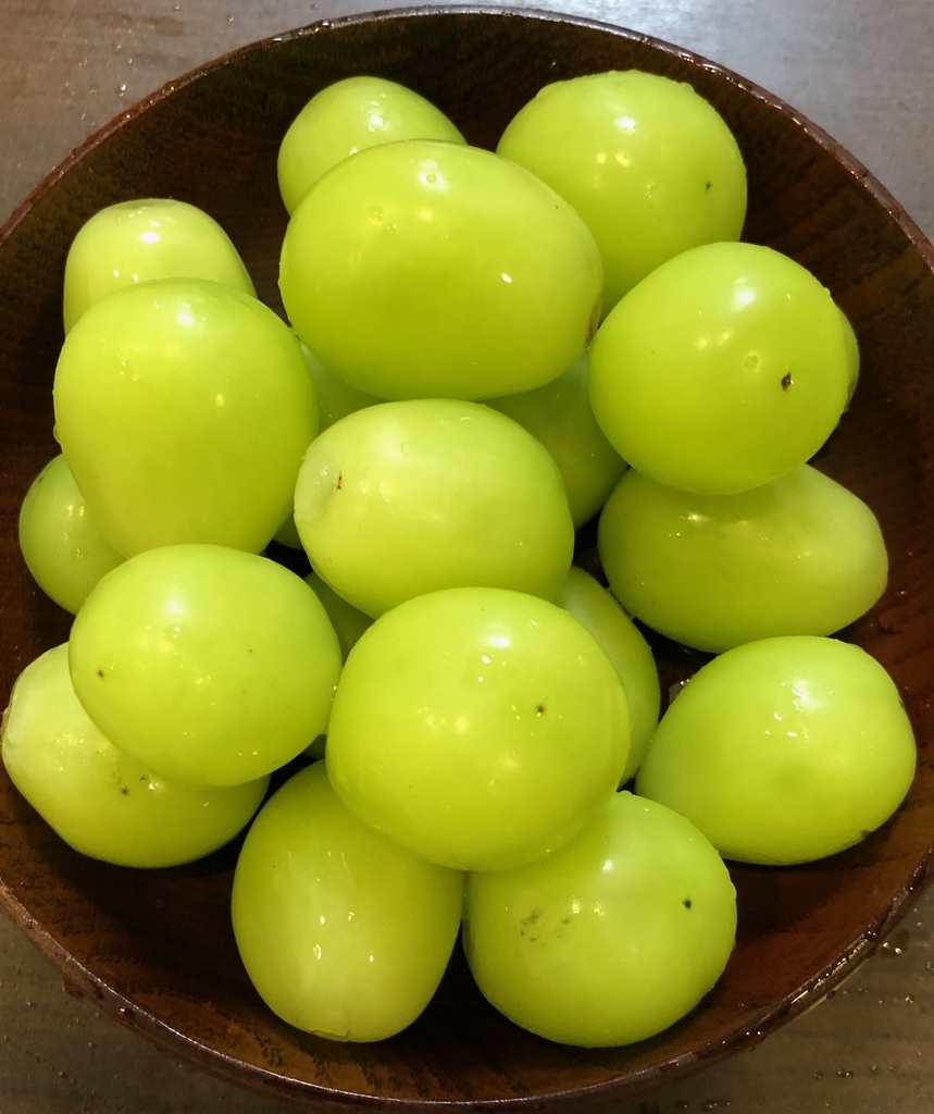 f:id:nekokunnikki:20180918003718j:plain f:id:nekokunnikki:20180918003718j:plain