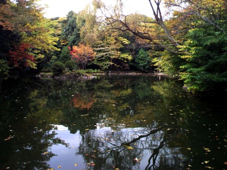 f:id:nekomakura:20091116123958j:image