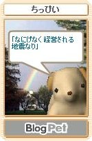 f:id:nekomama:20050813080401j:image