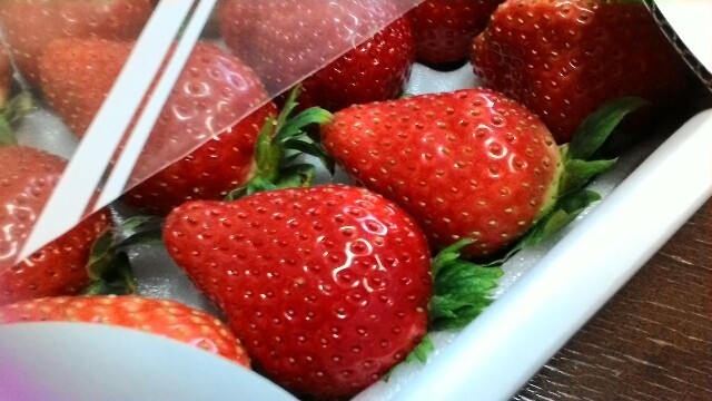 f:id:nekomama:20180219031838j:image f:id:nekomama:20180219031838j:image