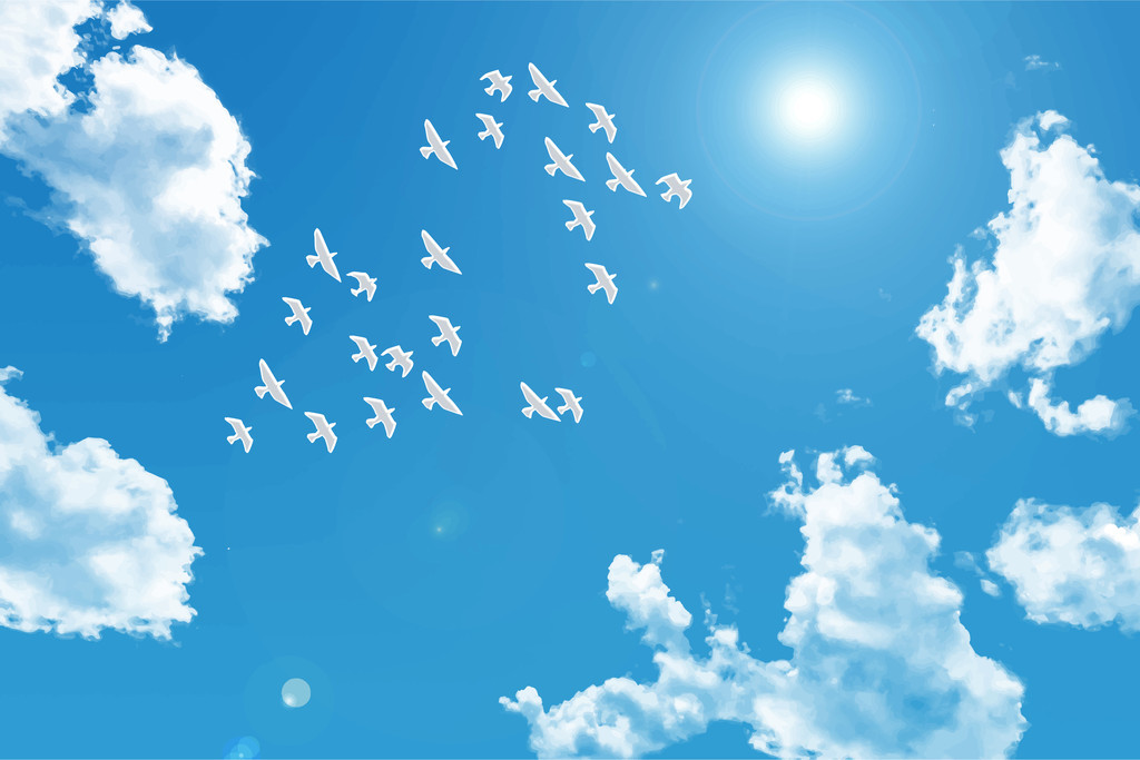 f:id:nekomama:20181016112813j:plain f:id:nekomama:20181016112813j:plain