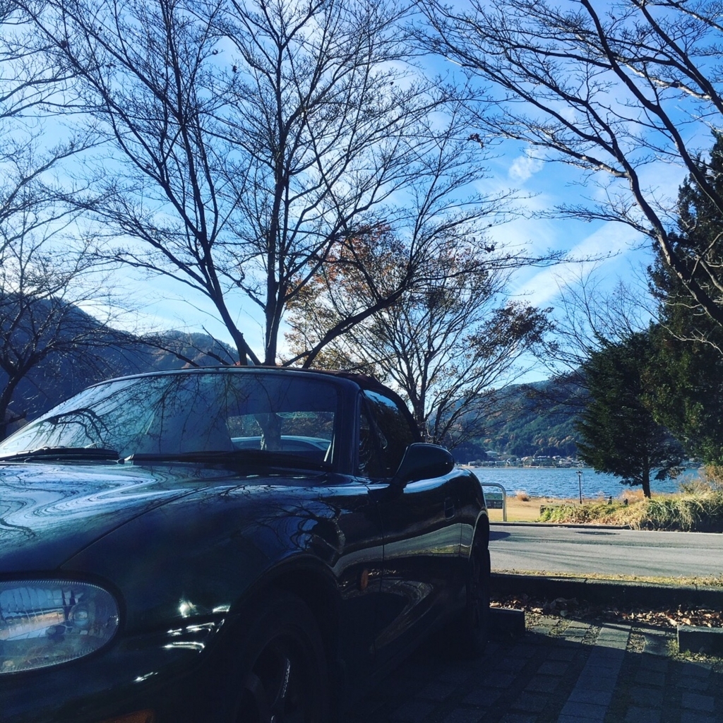 f:id:nekomaman:20171206121701j:plain