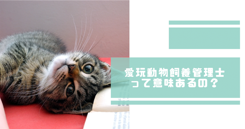f:id:nekomamireKTH:20231006212607p:image f:id:nekomamireKTH:20231006212607p:image