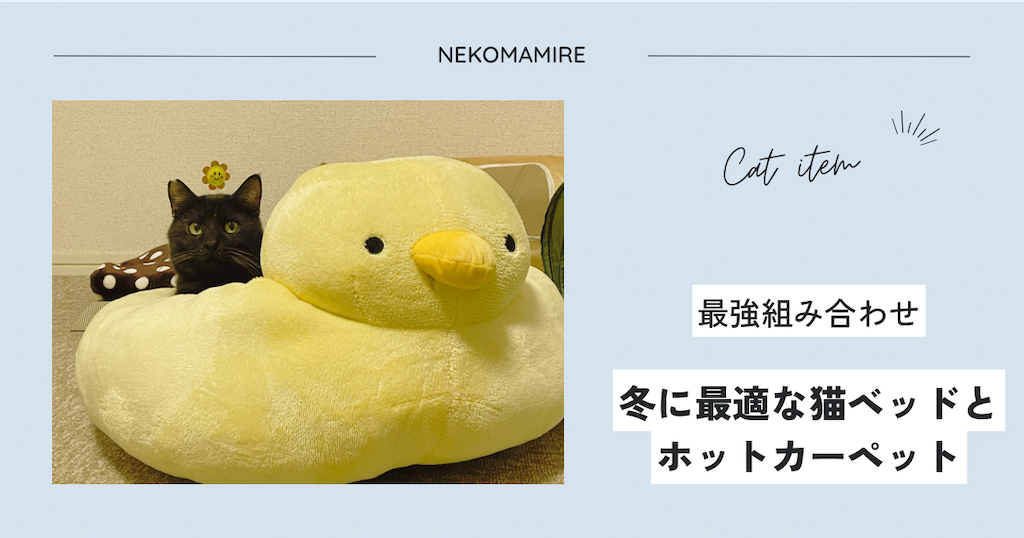 f:id:nekomamireKTH:20231007212915p:image f:id:nekomamireKTH:20231007212915p:image