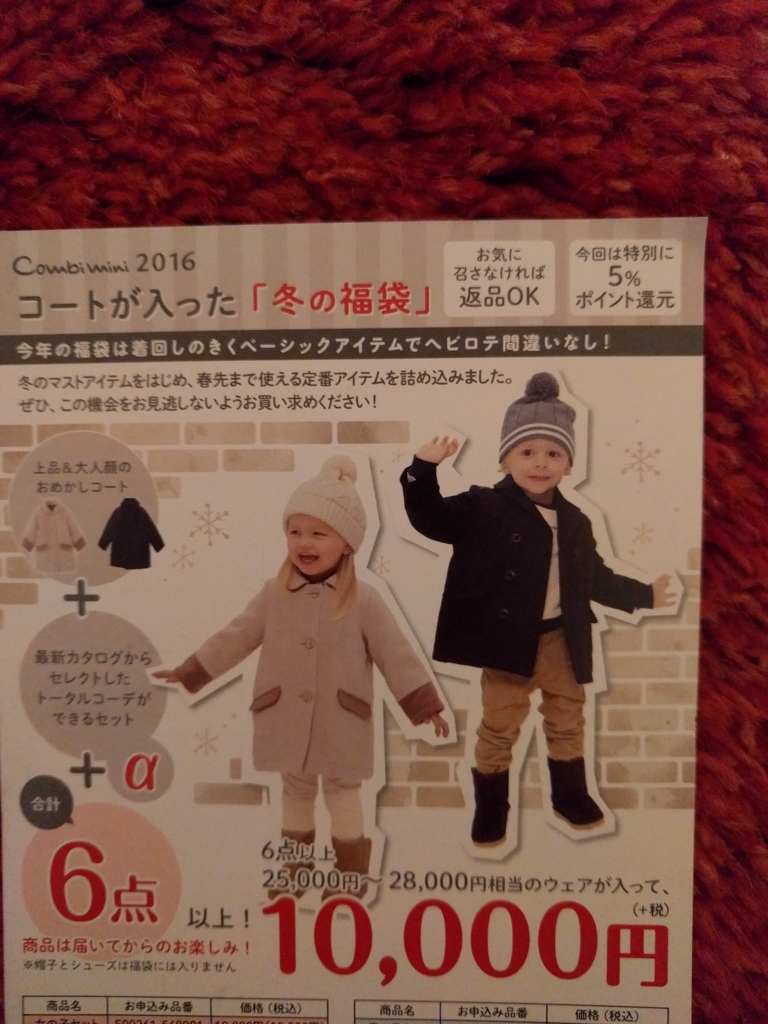 f:id:nekoman10:20161125095257j:plain