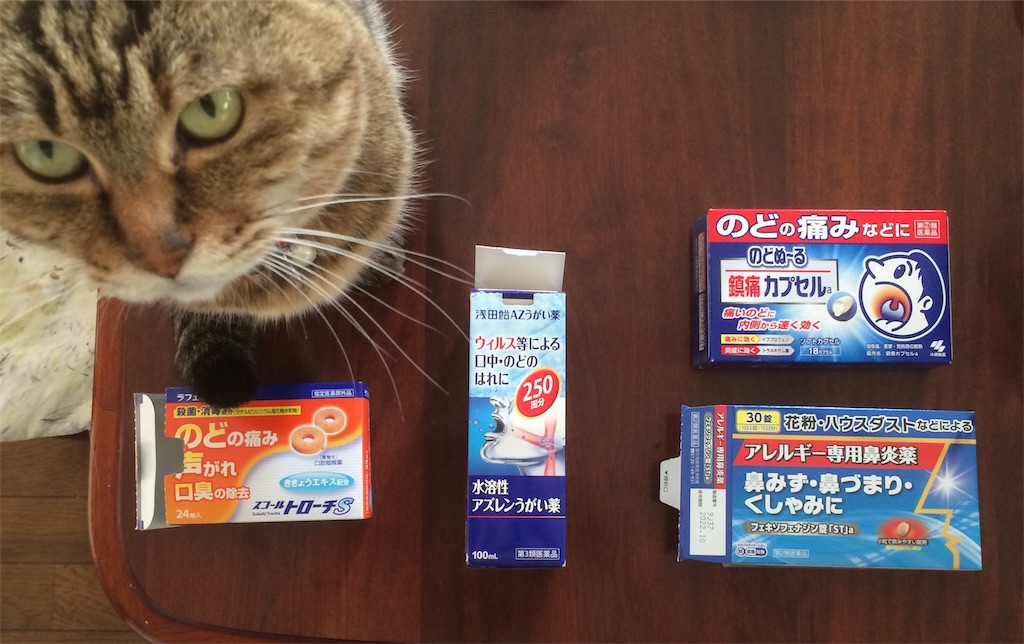 f:id:nekomanmaru:20210213144100j:plain