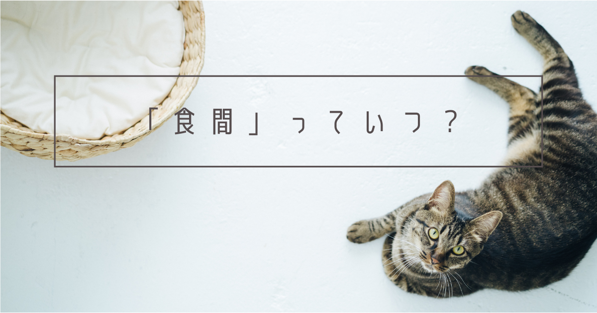 f:id:nekomarunooheya:20210308095851p:plain