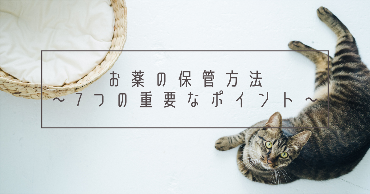 f:id:nekomarunooheya:20210309134116p:plain