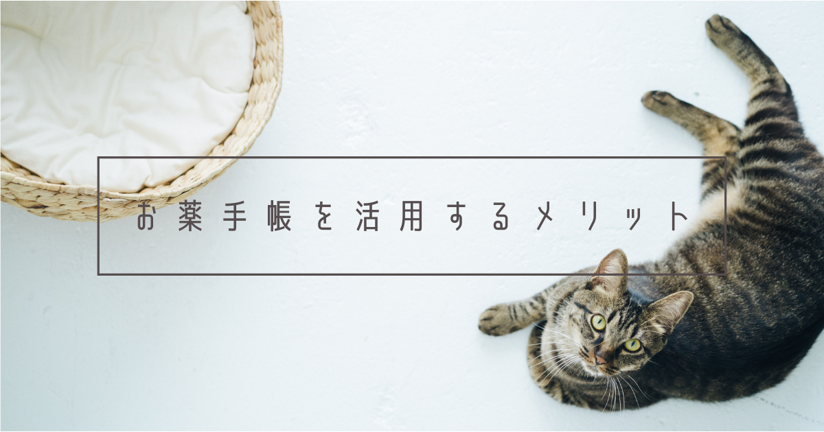 f:id:nekomarunooheya:20210311185333p:plain