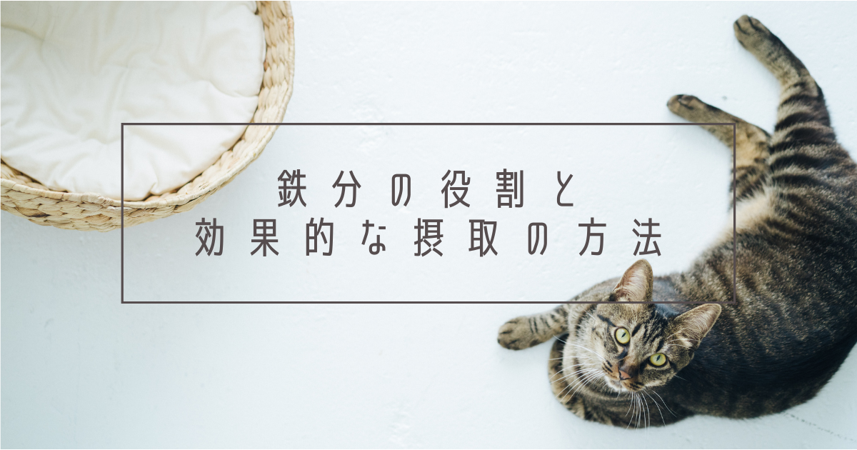 f:id:nekomarunooheya:20210313182935p:plain