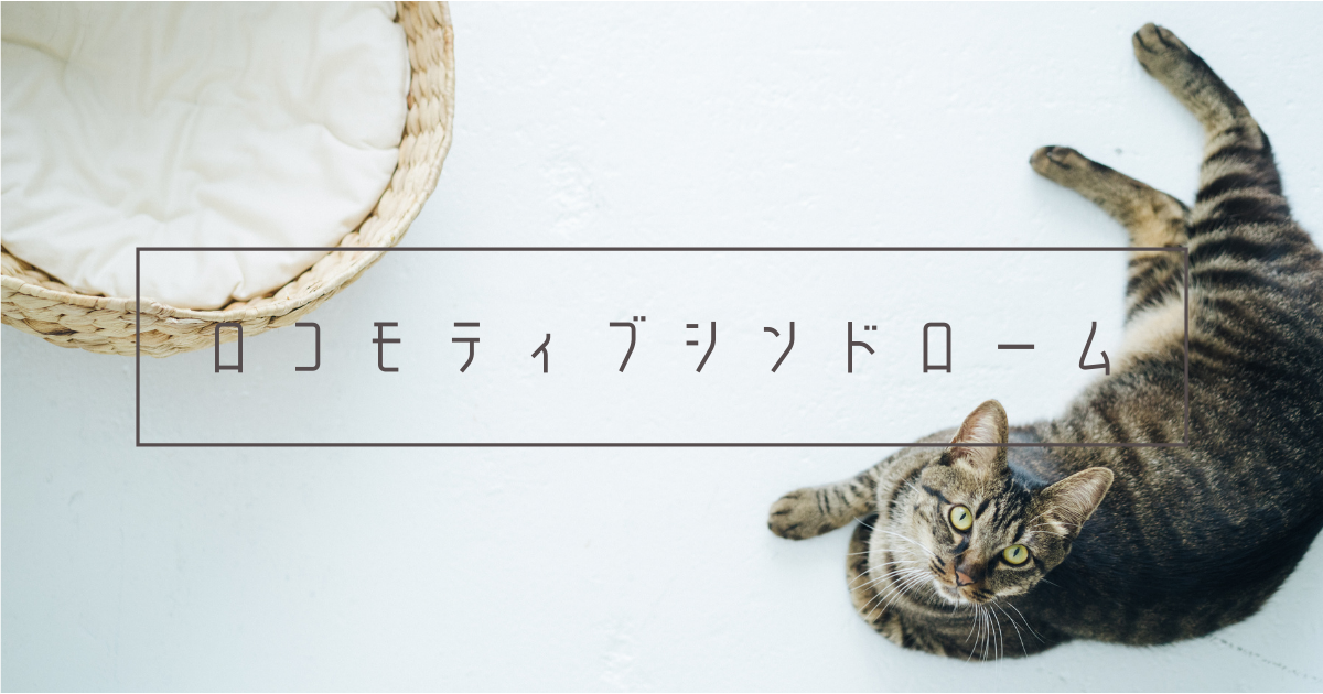 f:id:nekomarunooheya:20210314111816p:plain