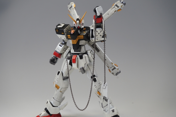 HGUC クロスボーン・ガンダムX1 & クロスボーン・ガンダムX1改 