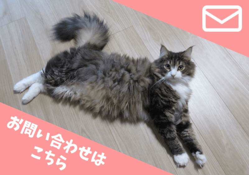 f:id:nekomiler:20170918233609p:plain f:id:nekomiler:20170918233609p:plain
