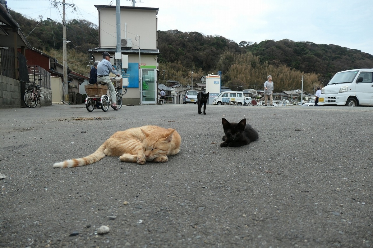 f:id:nekomitsudo:20200919150250j:plain