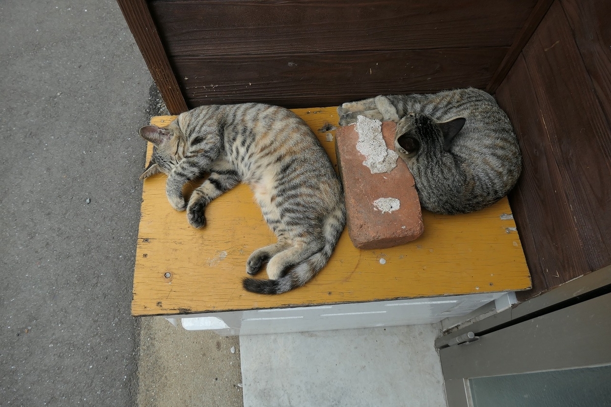 f:id:nekomitsudo:20200919150944j:plain