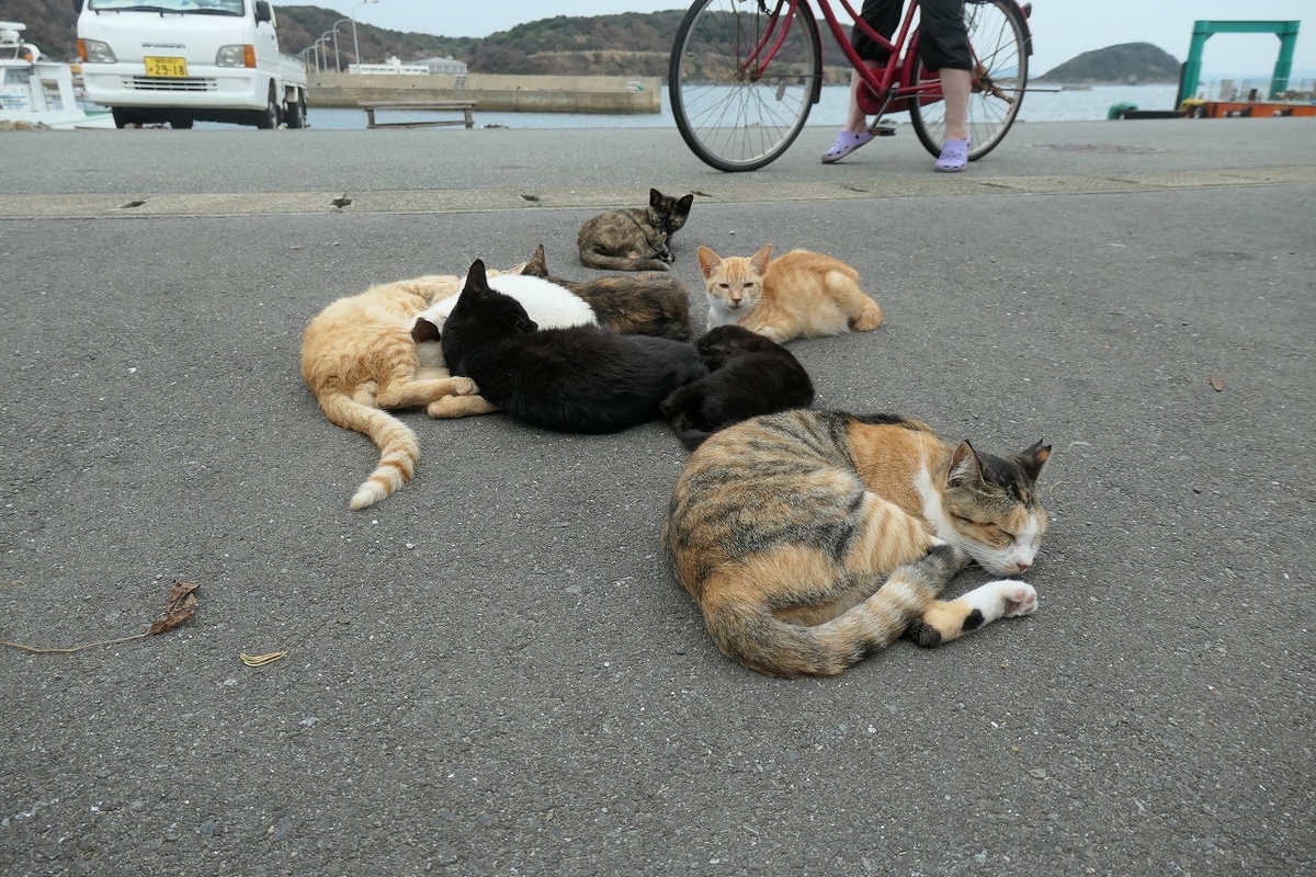 f:id:nekomitsudo:20200919150959j:plain