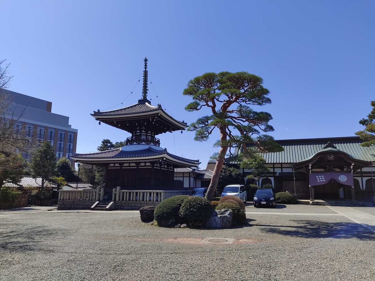 f:id:nekomitsudo:20210318162226j:plain