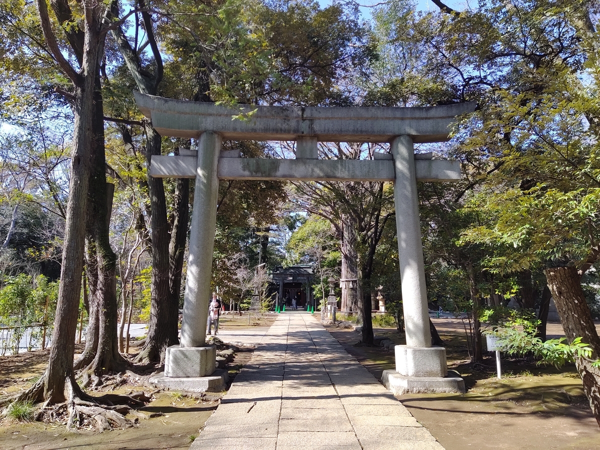 f:id:nekomitsudo:20210318162559j:plain