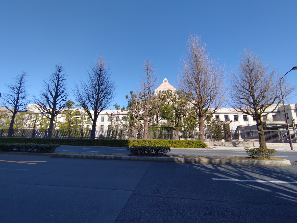 f:id:nekomitsudo:20210318162702j:plain