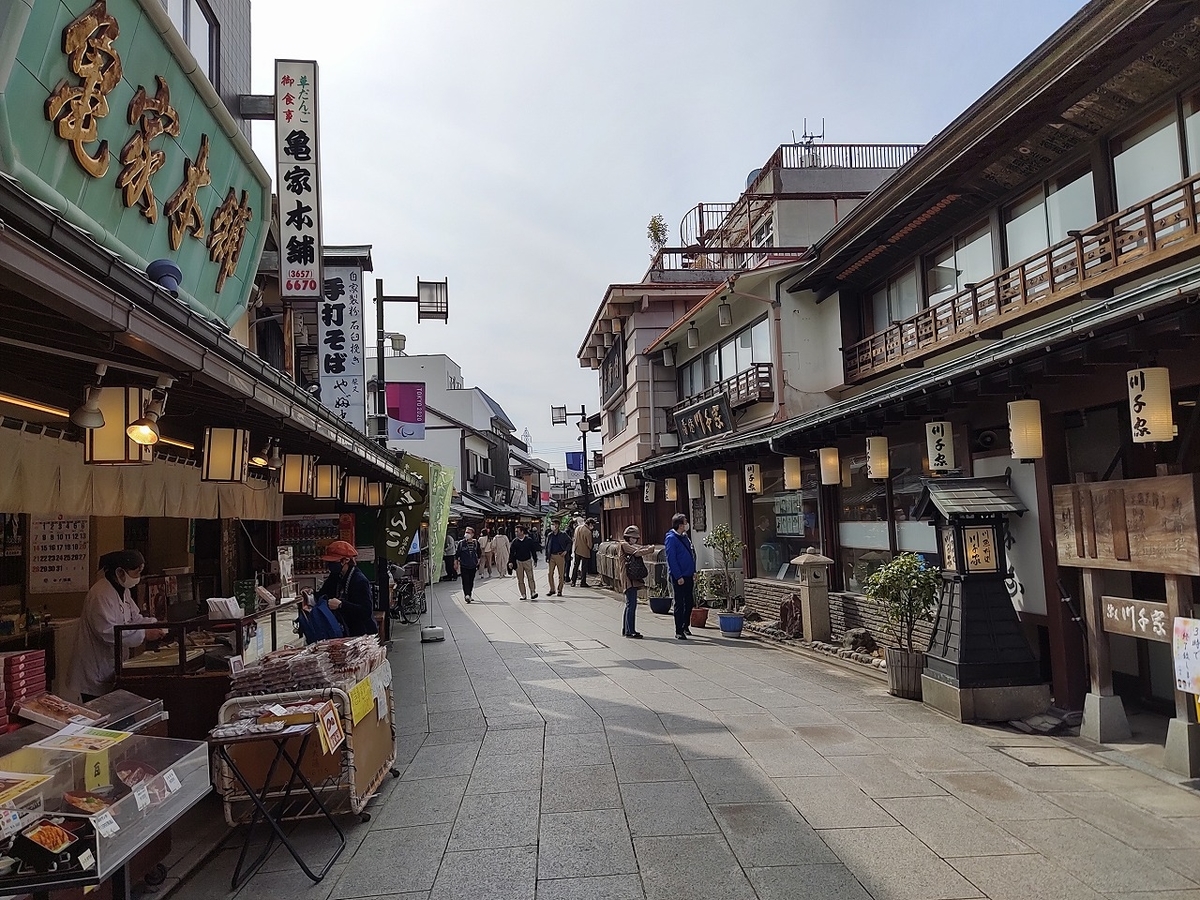f:id:nekomitsudo:20210321155851j:plain