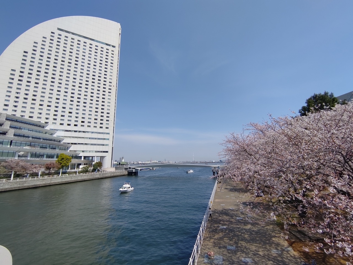 f:id:nekomitsudo:20210328234718j:plain