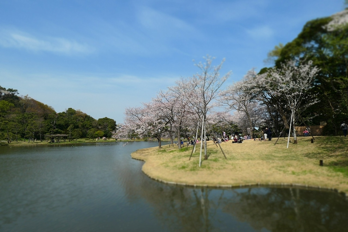 f:id:nekomitsudo:20210328235319j:plain