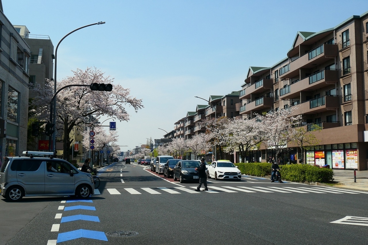 f:id:nekomitsudo:20210328235325j:plain