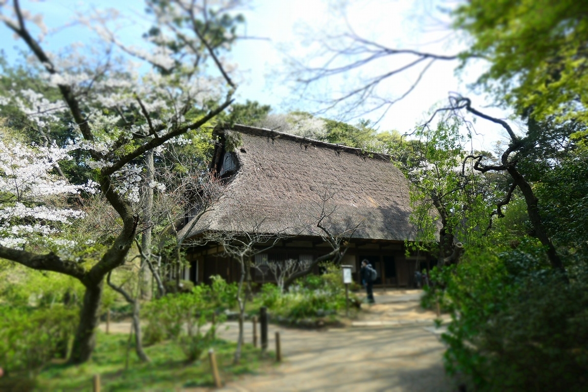 f:id:nekomitsudo:20210328235345j:plain